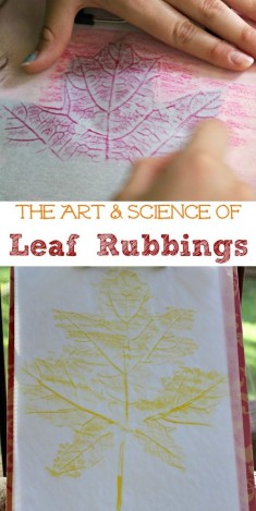 The Art & Science of Leaf Rubbings